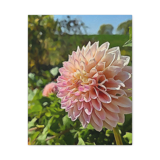 Blooms by the Back Porch Series