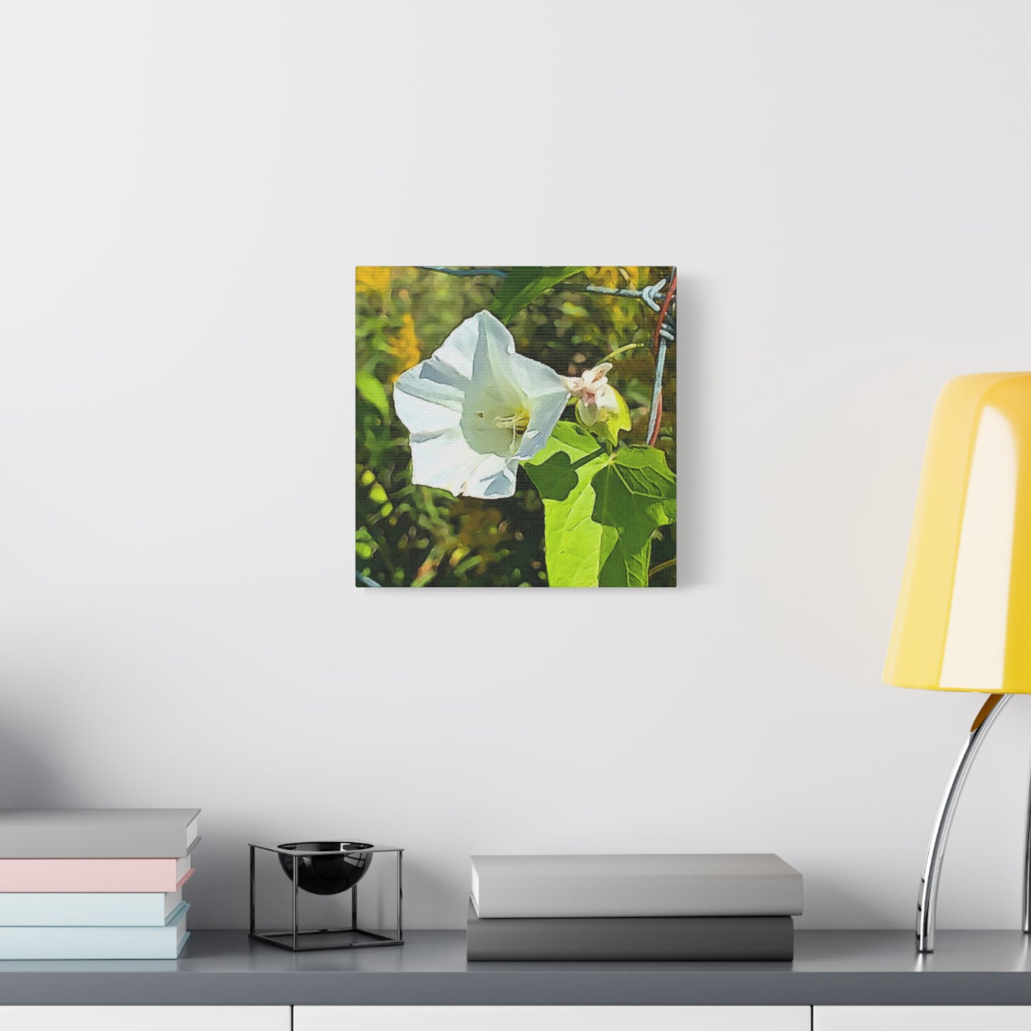 Blooms by the Back Porch Series