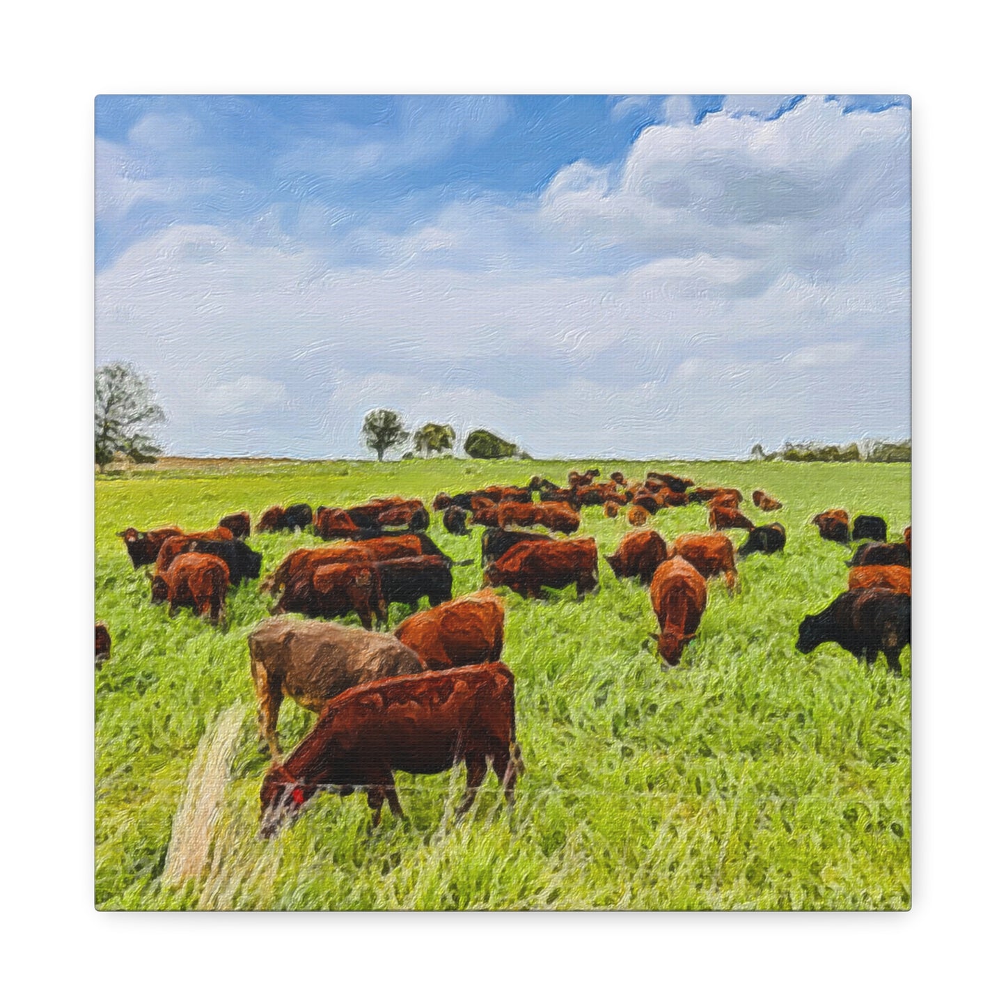 Down on the Farm Series