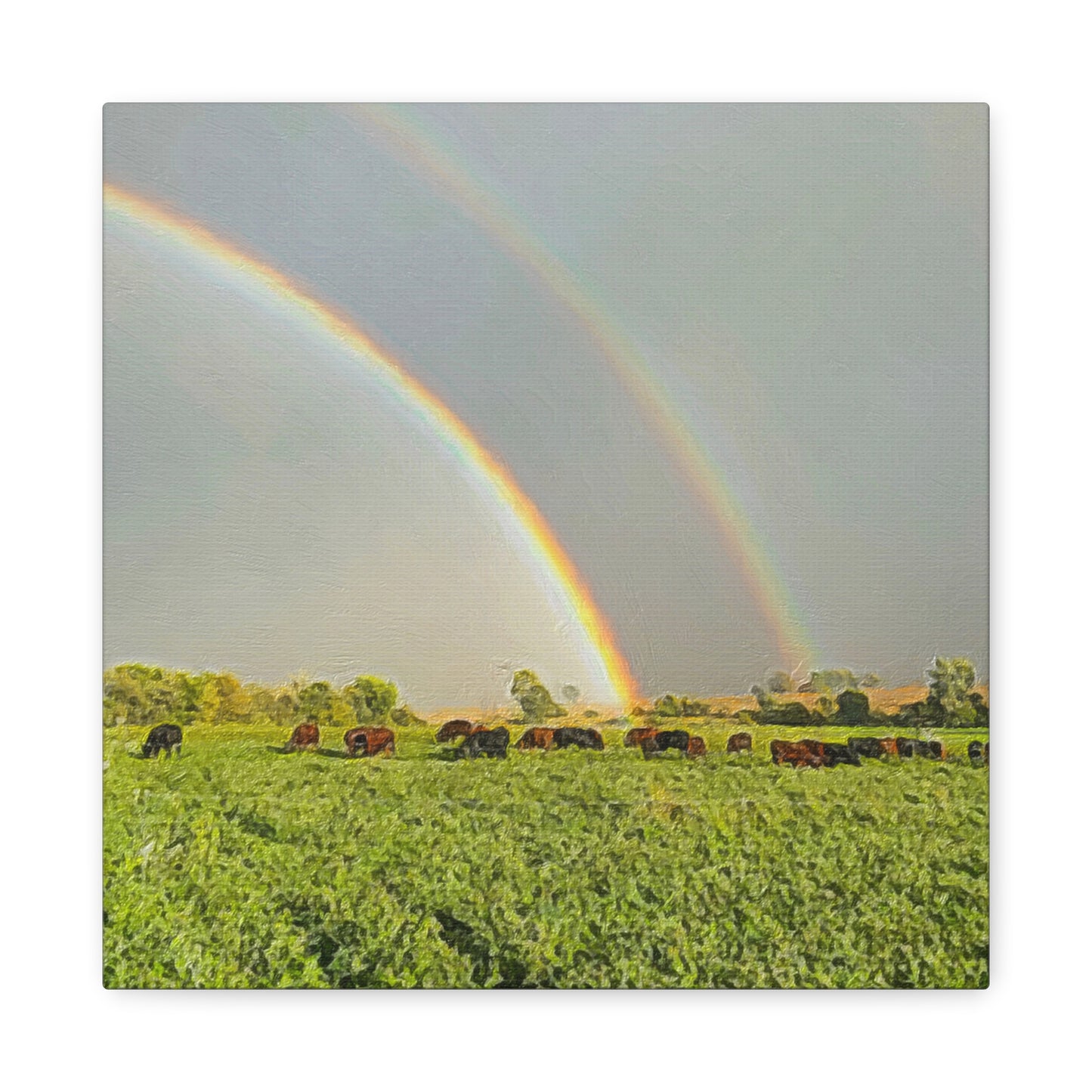 Down on the Farm Series