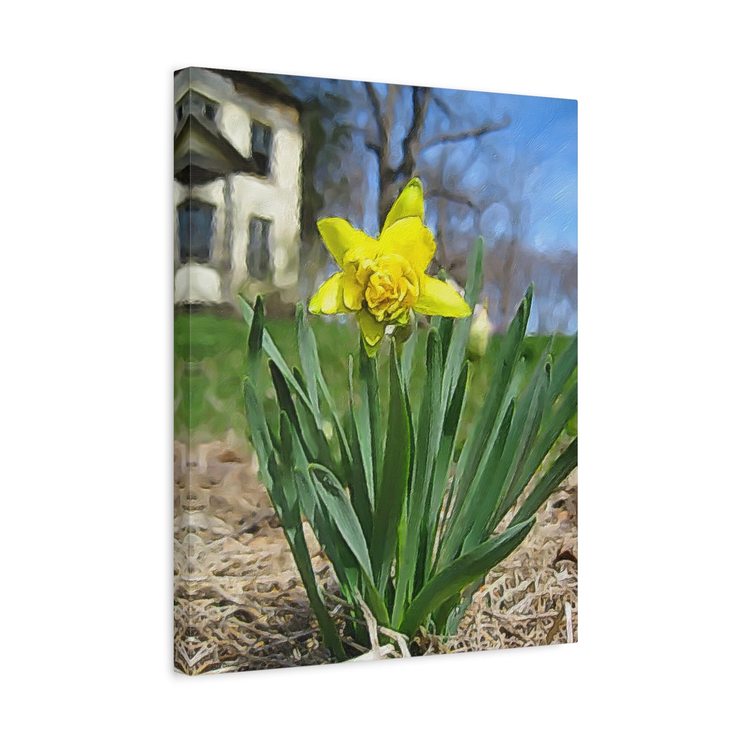 Blooms by the Back Porch Series