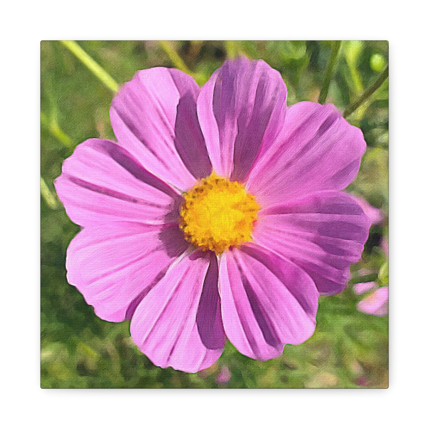 Blooms by the Back Porch Series