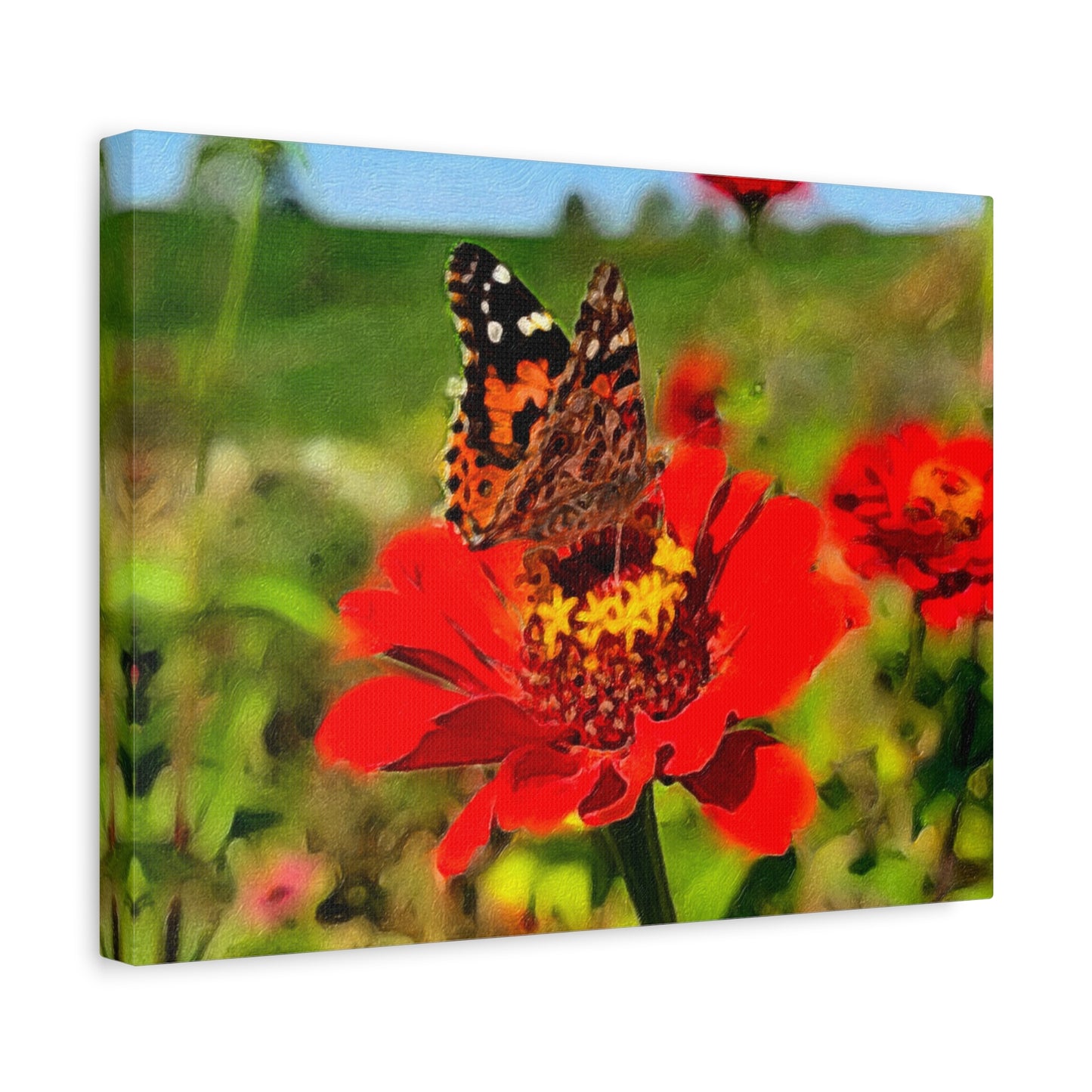 Blooms by the Back Porch Series