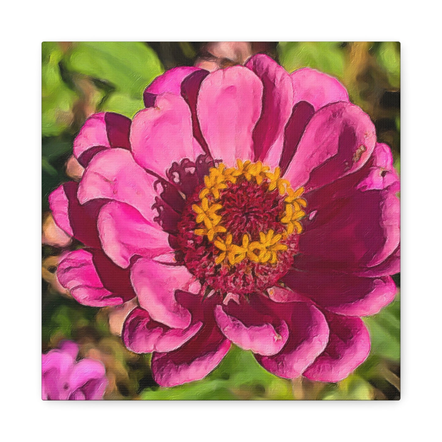 Blooms by the Back Porch Series