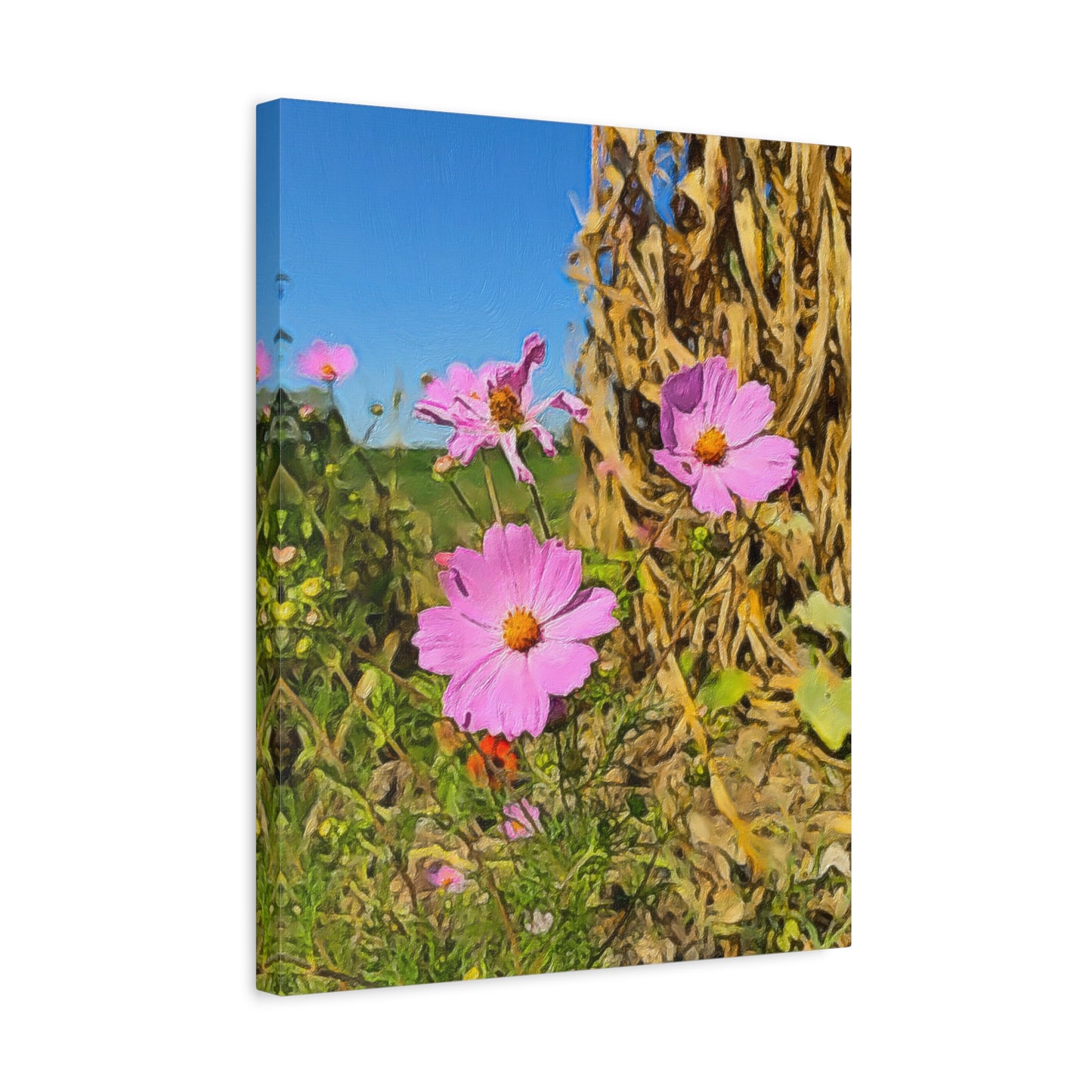 Blooms by the Back Porch Series