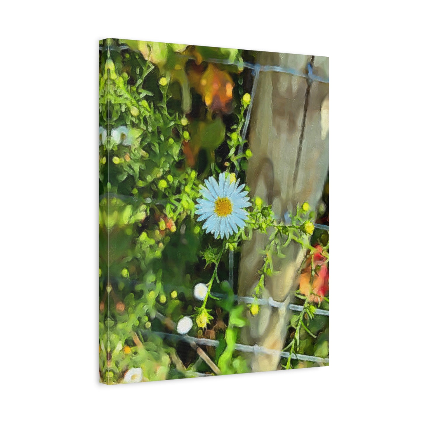 Blooms by the Back Porch Series