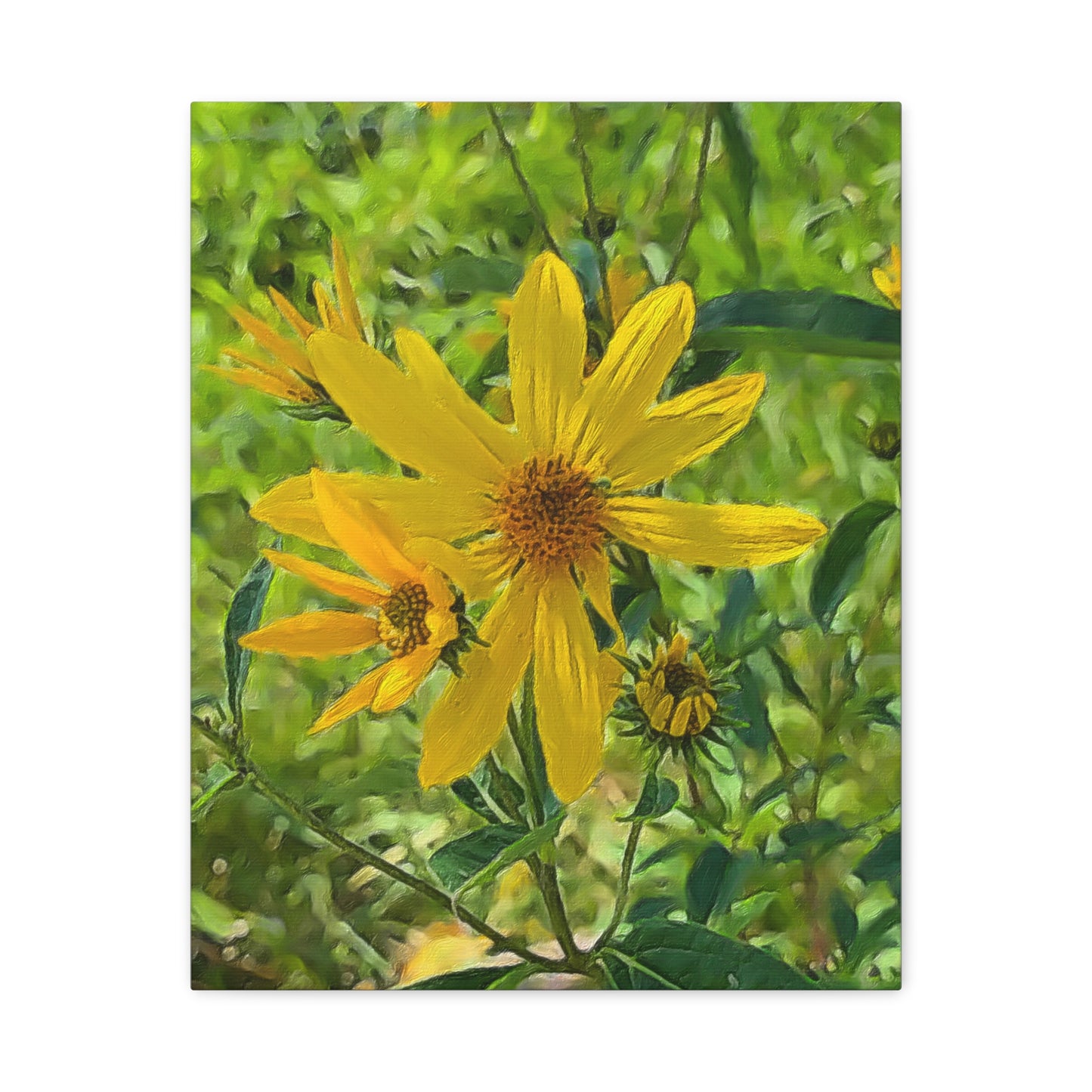 Blooms by the Back Porch Series