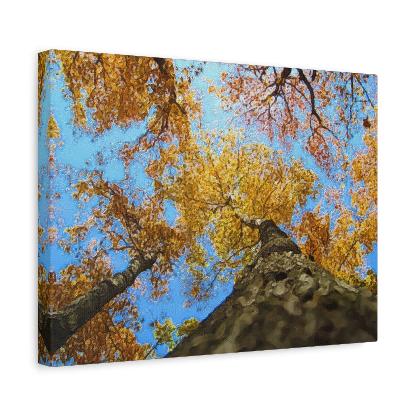 Autumn Series