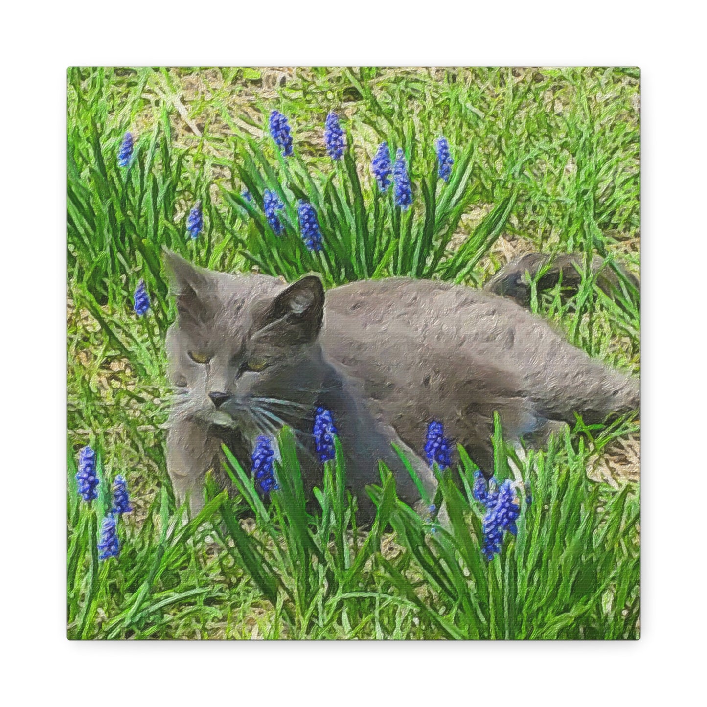 Down on the Farm Series