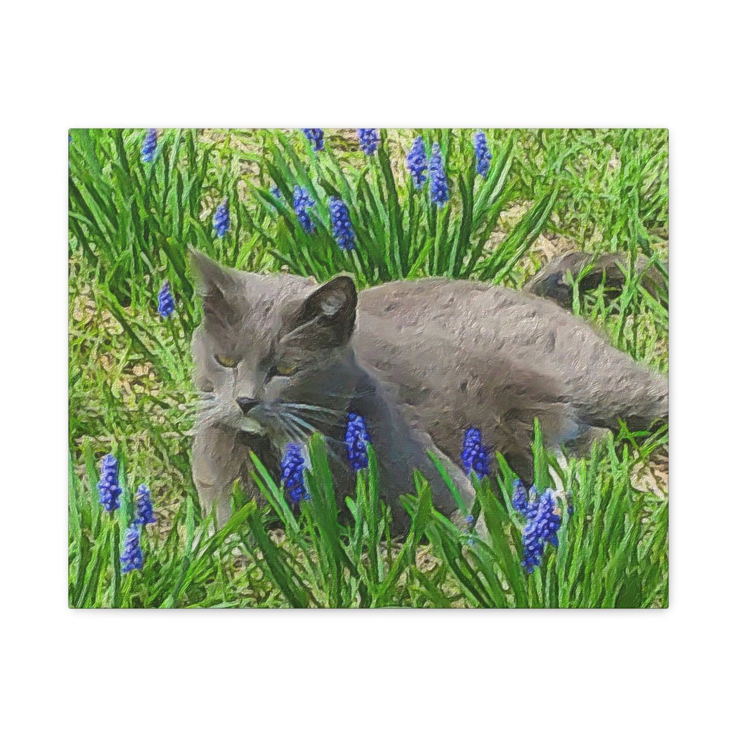 Down on the Farm Series