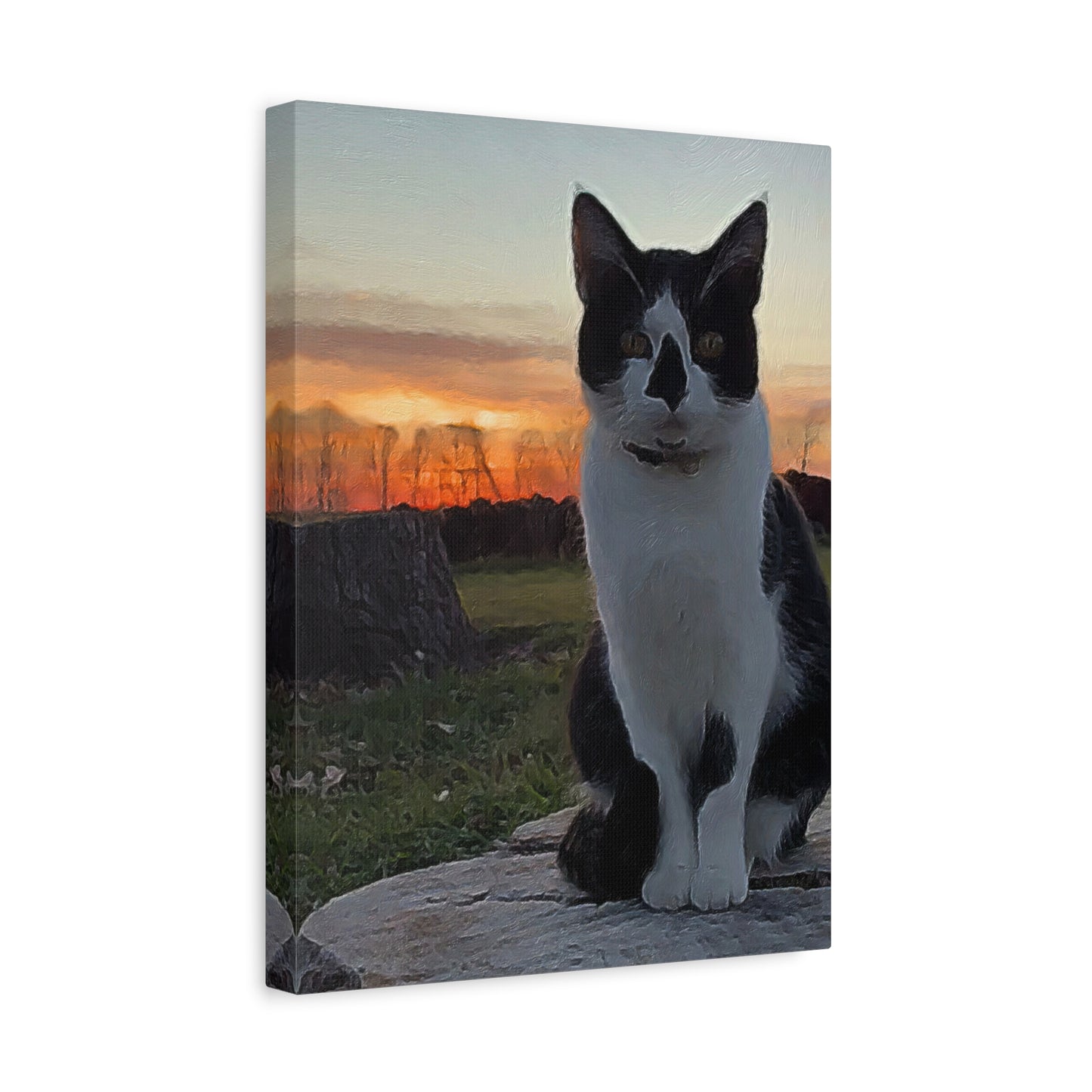 Down on the Farm Series