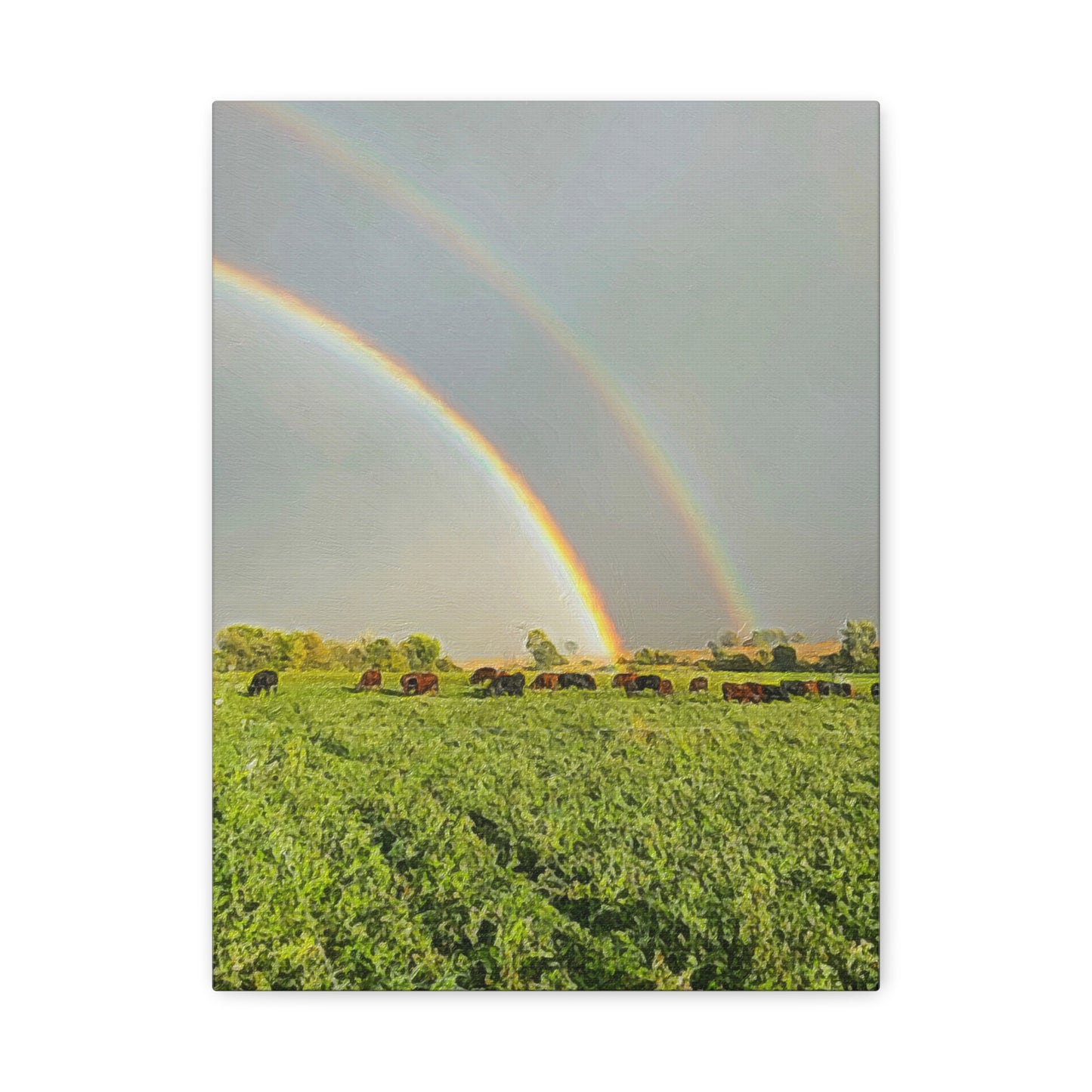 Down on the Farm Series