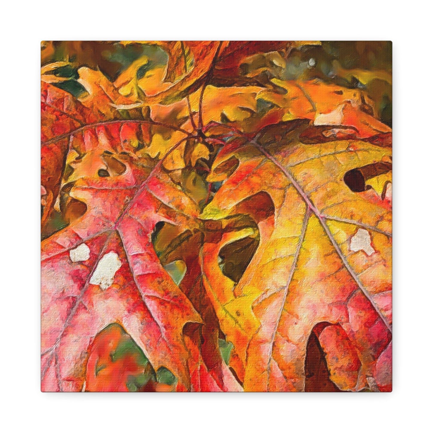 Autumn Series