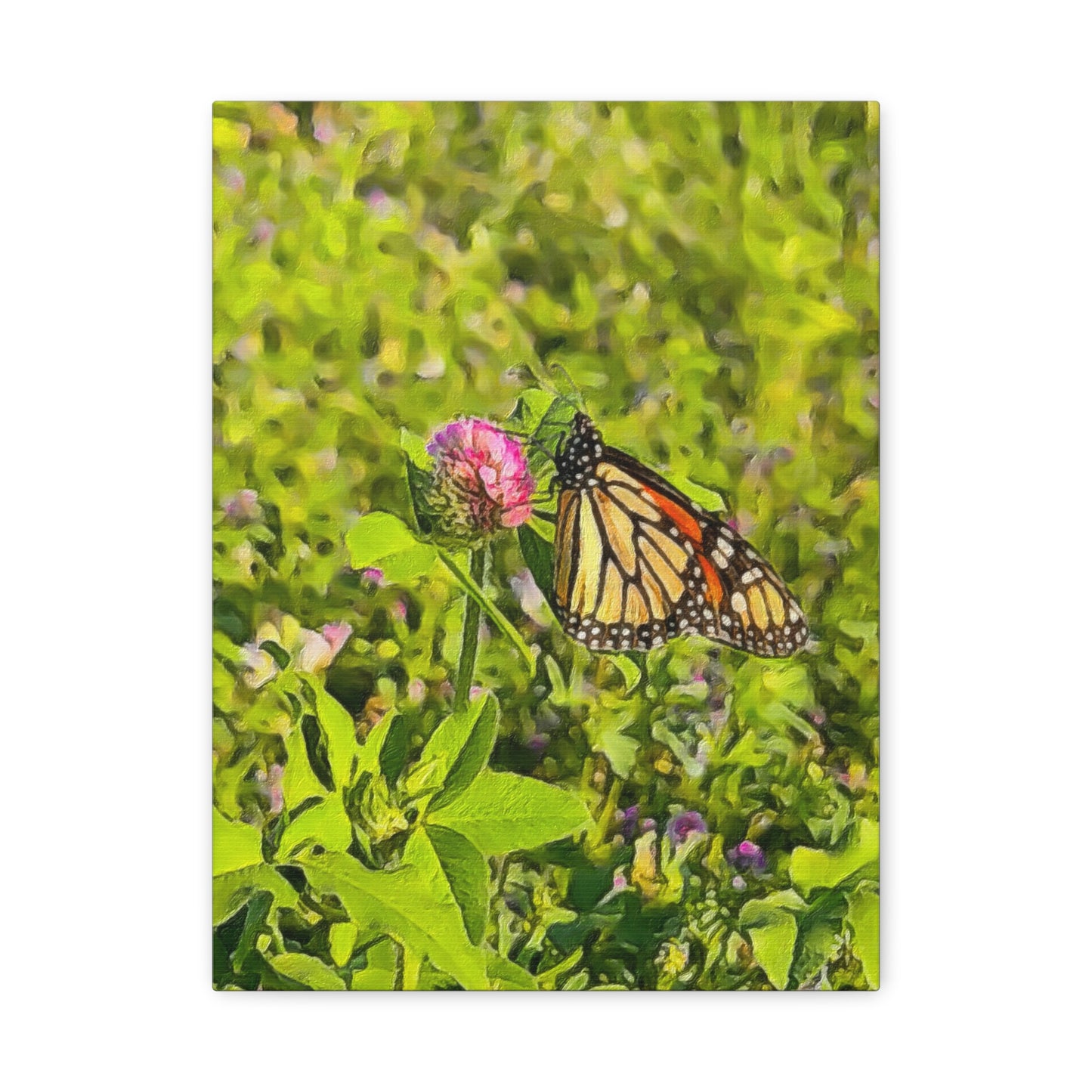 Down on the Farm Series