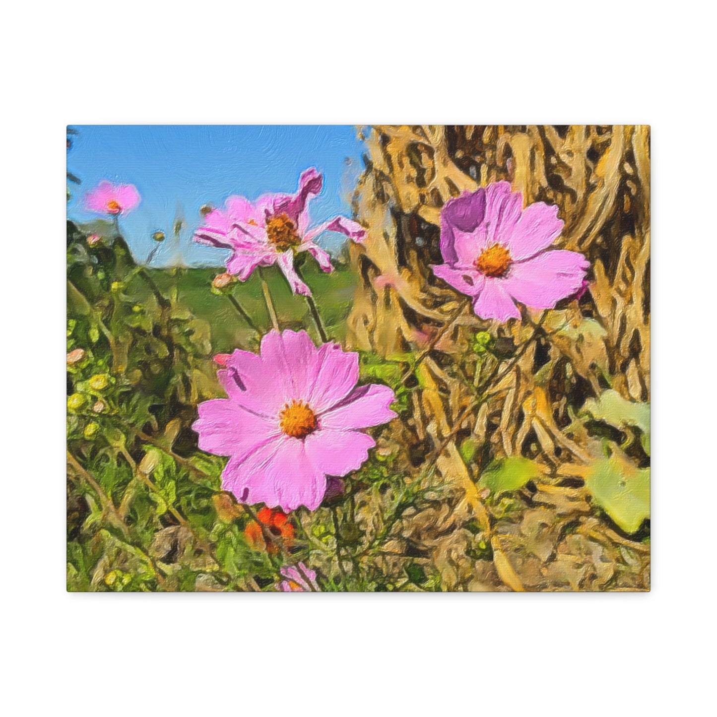 Blooms by the Back Porch Series