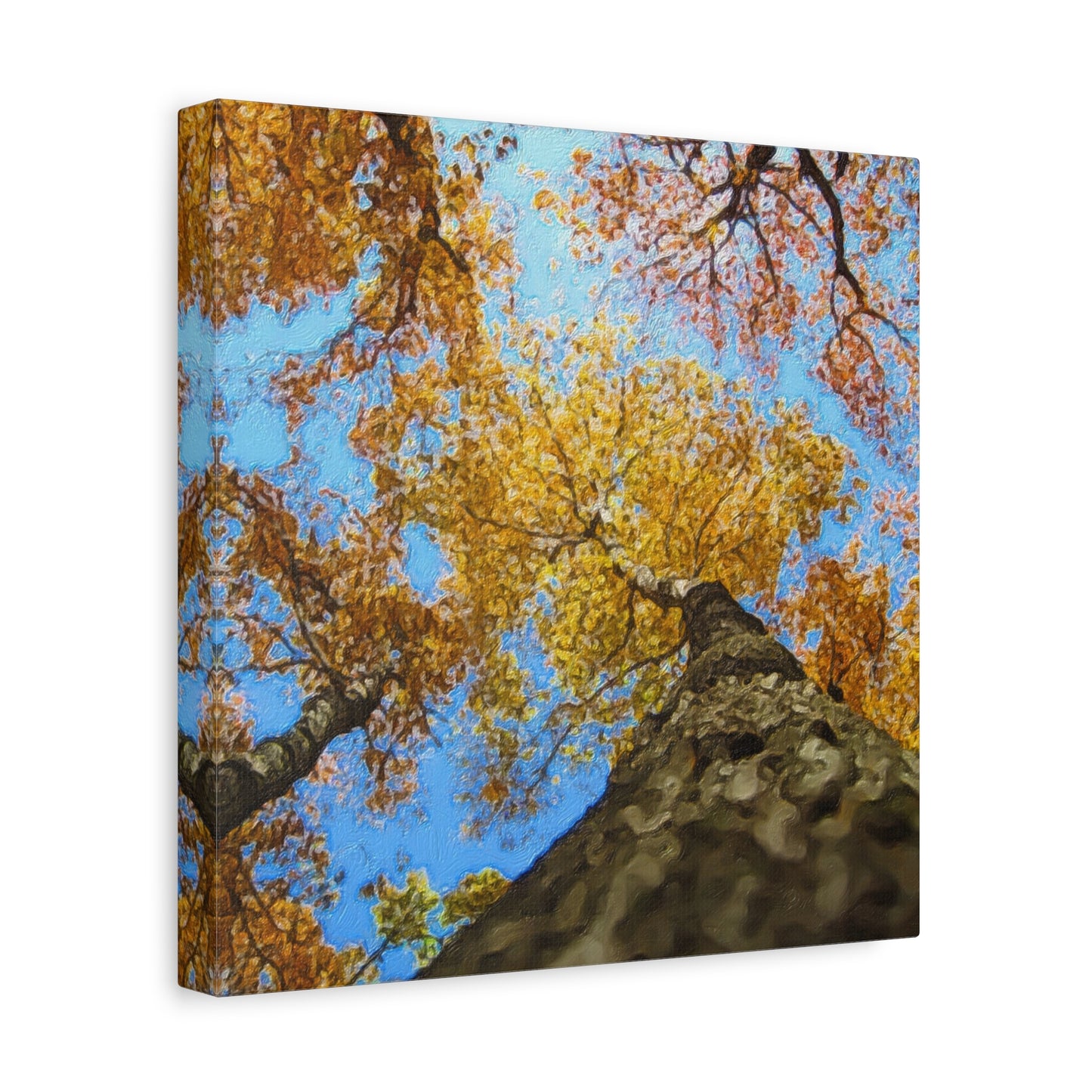 Autumn Series