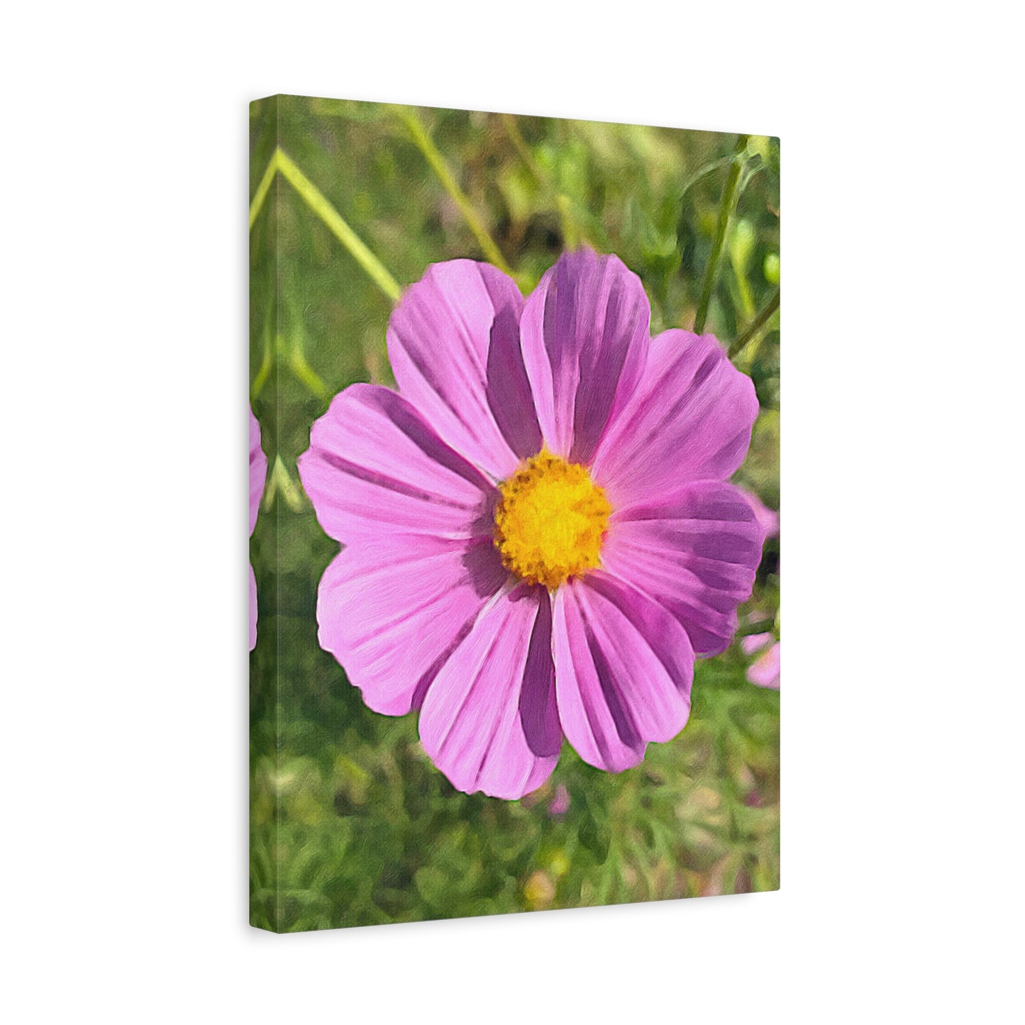 Blooms by the Back Porch Series