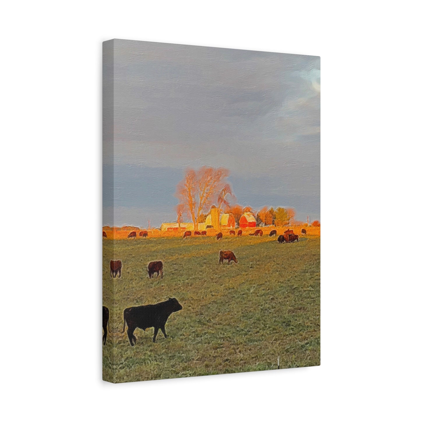 Autumn Series