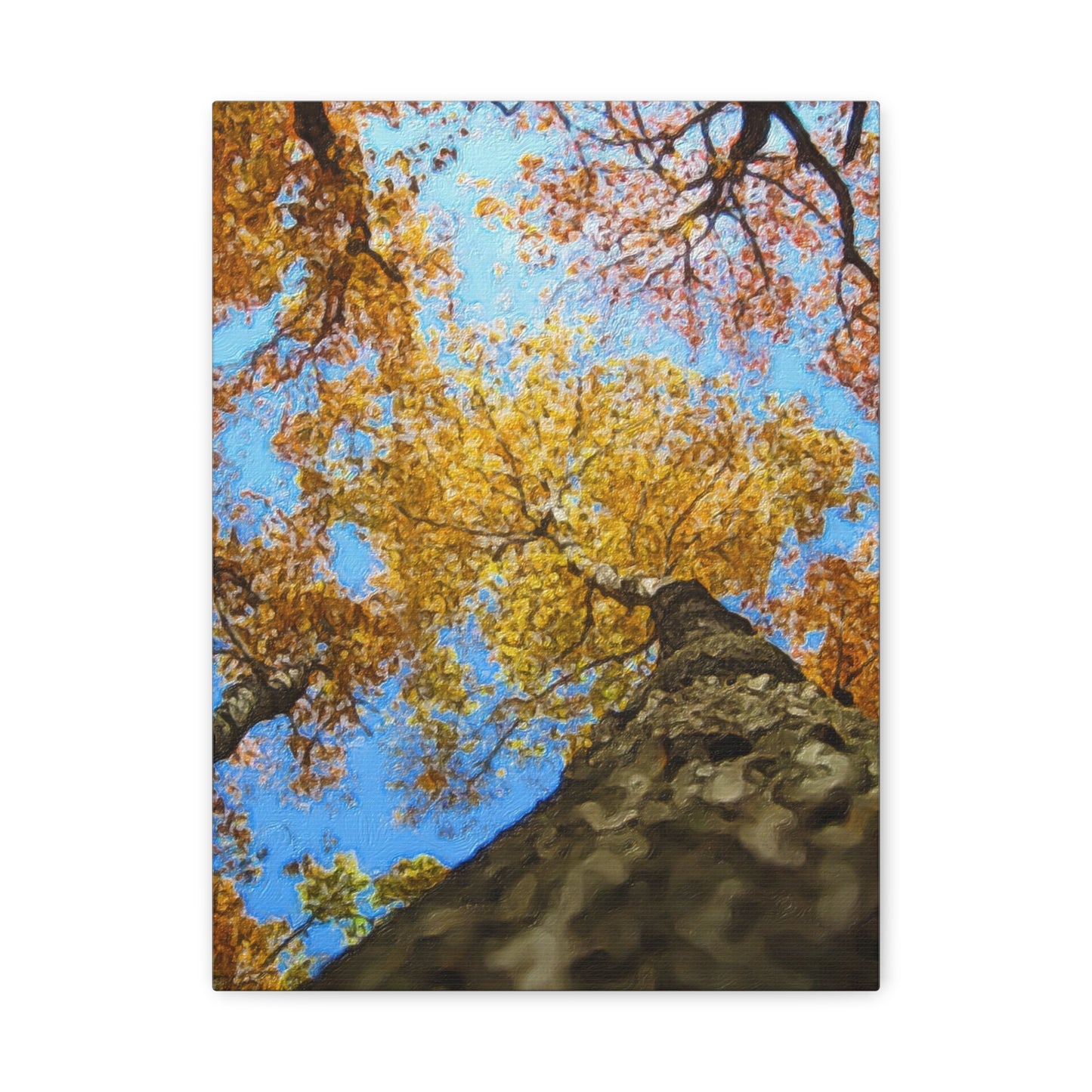 Autumn Series