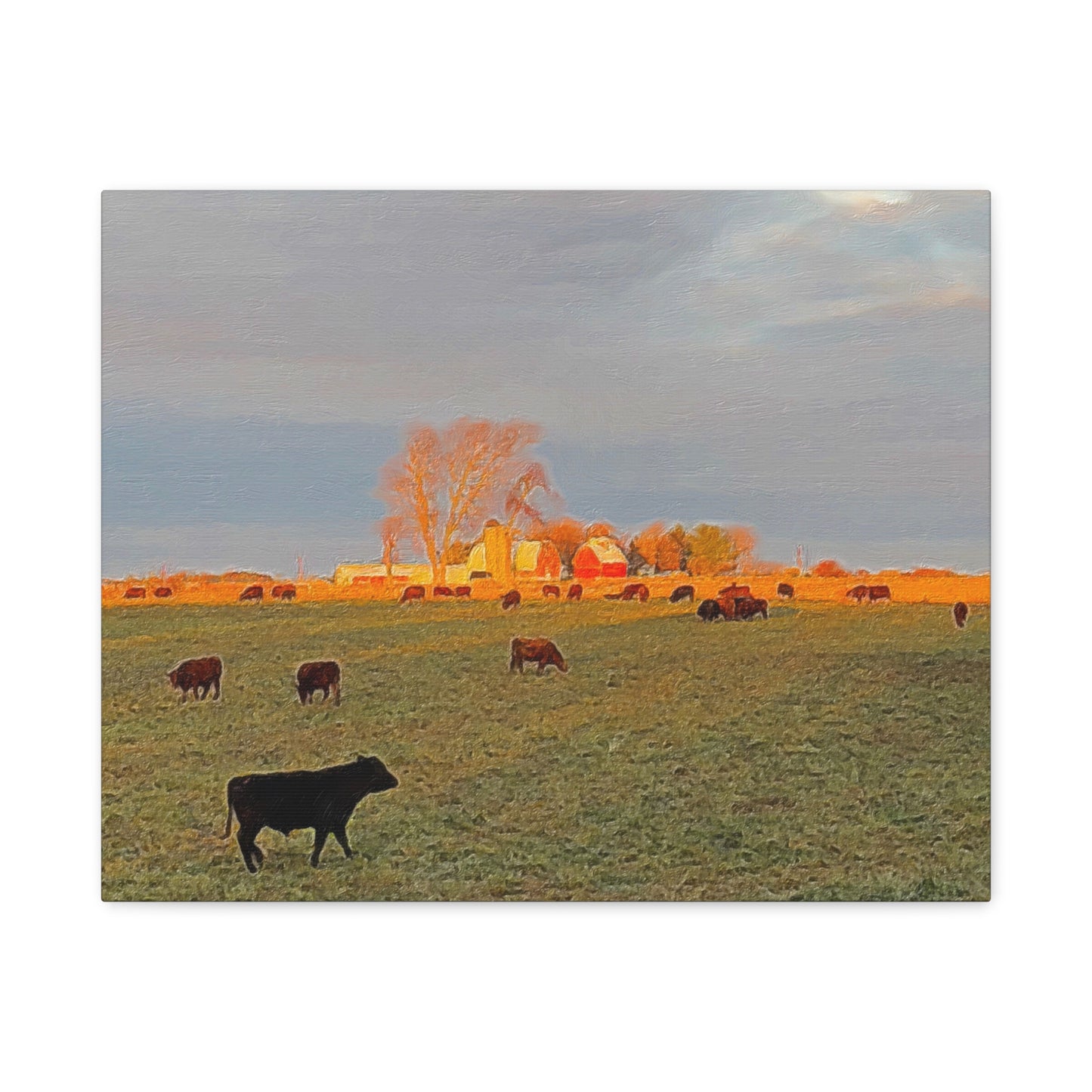 Autumn Series