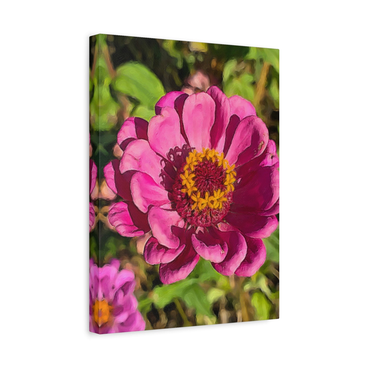 Blooms by the Back Porch Series