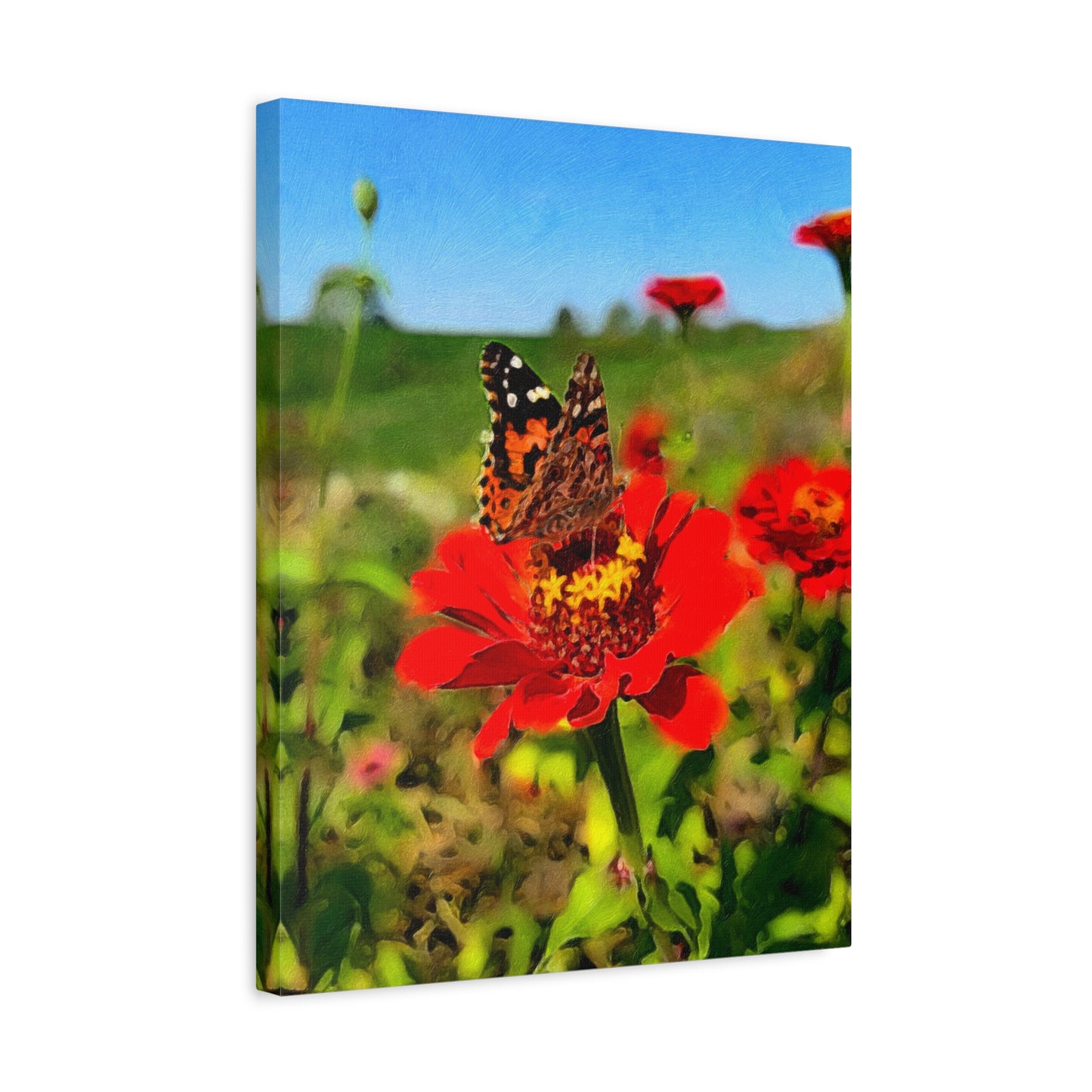 Blooms by the Back Porch Series