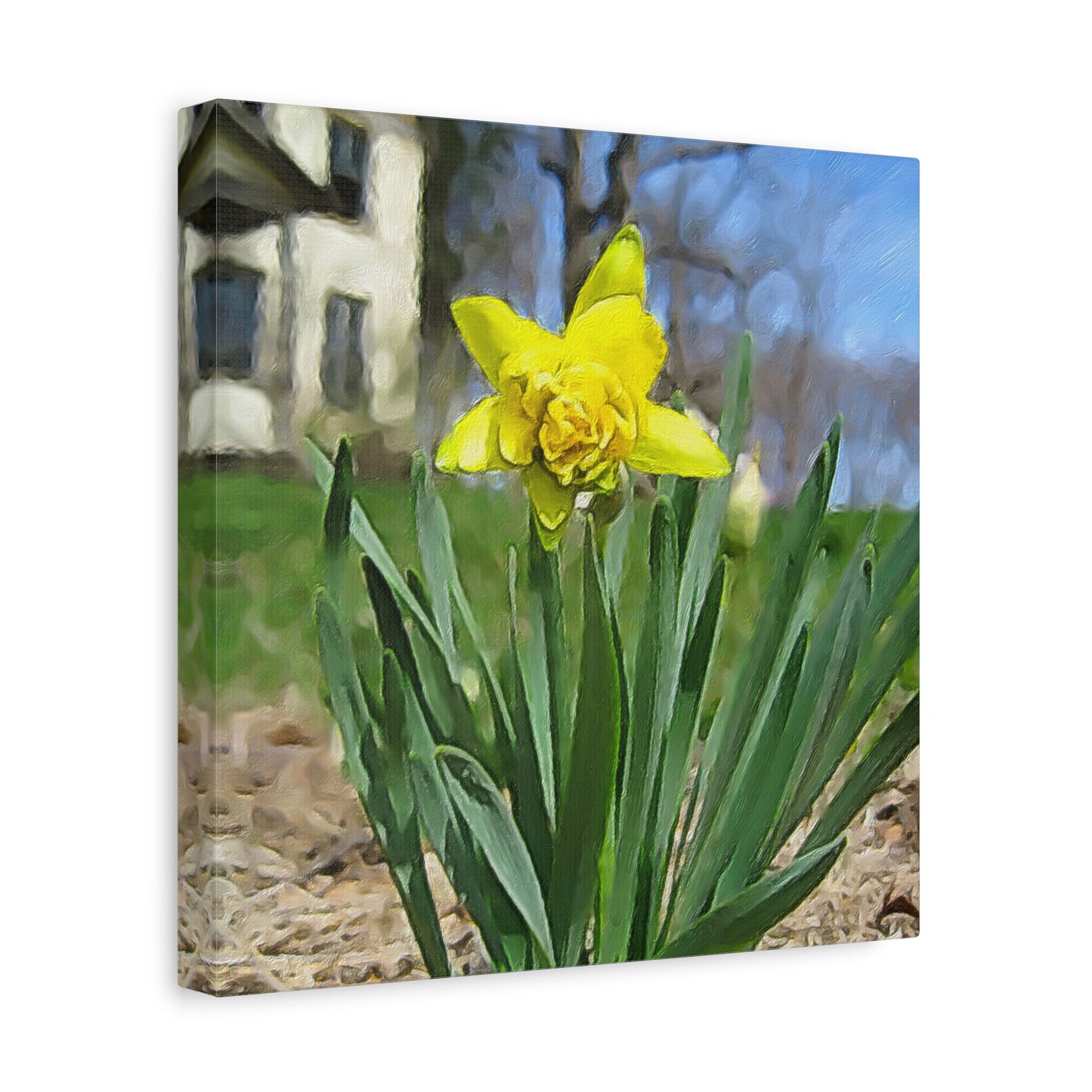 Blooms by the Back Porch Series