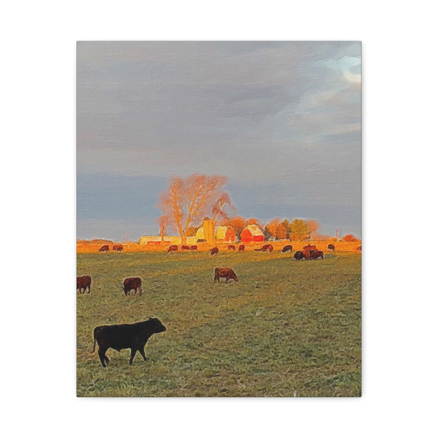 Autumn Series