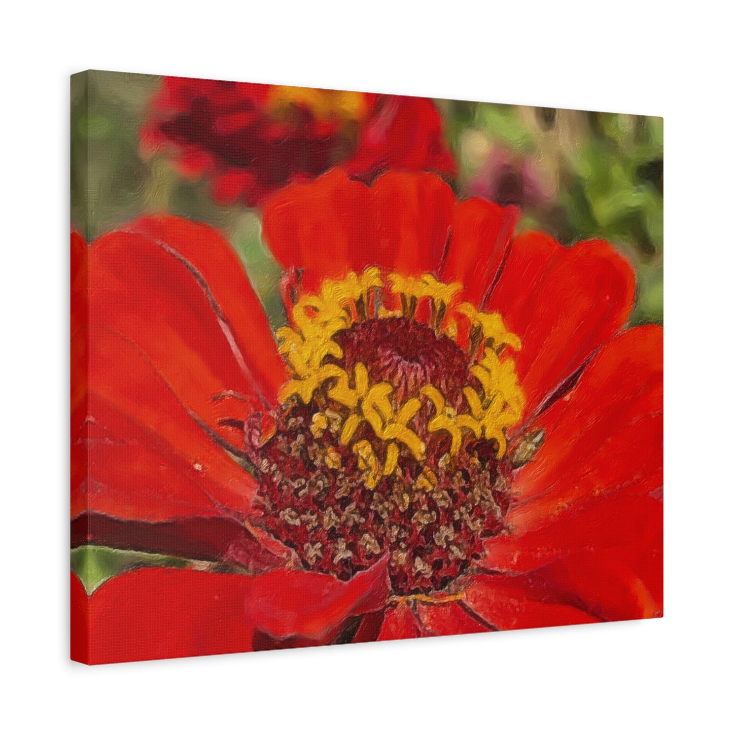 Blooms By the Back Porch Series