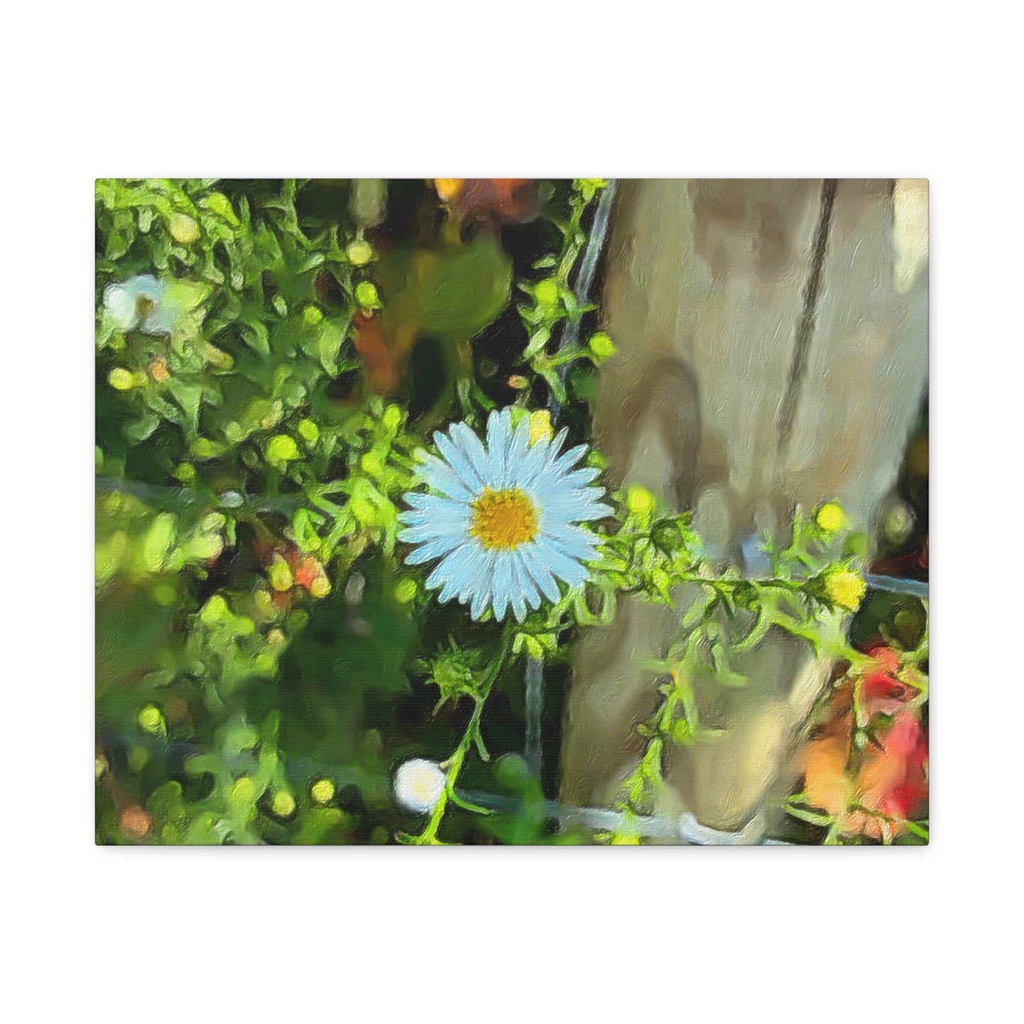 Blooms by the Back Porch Series