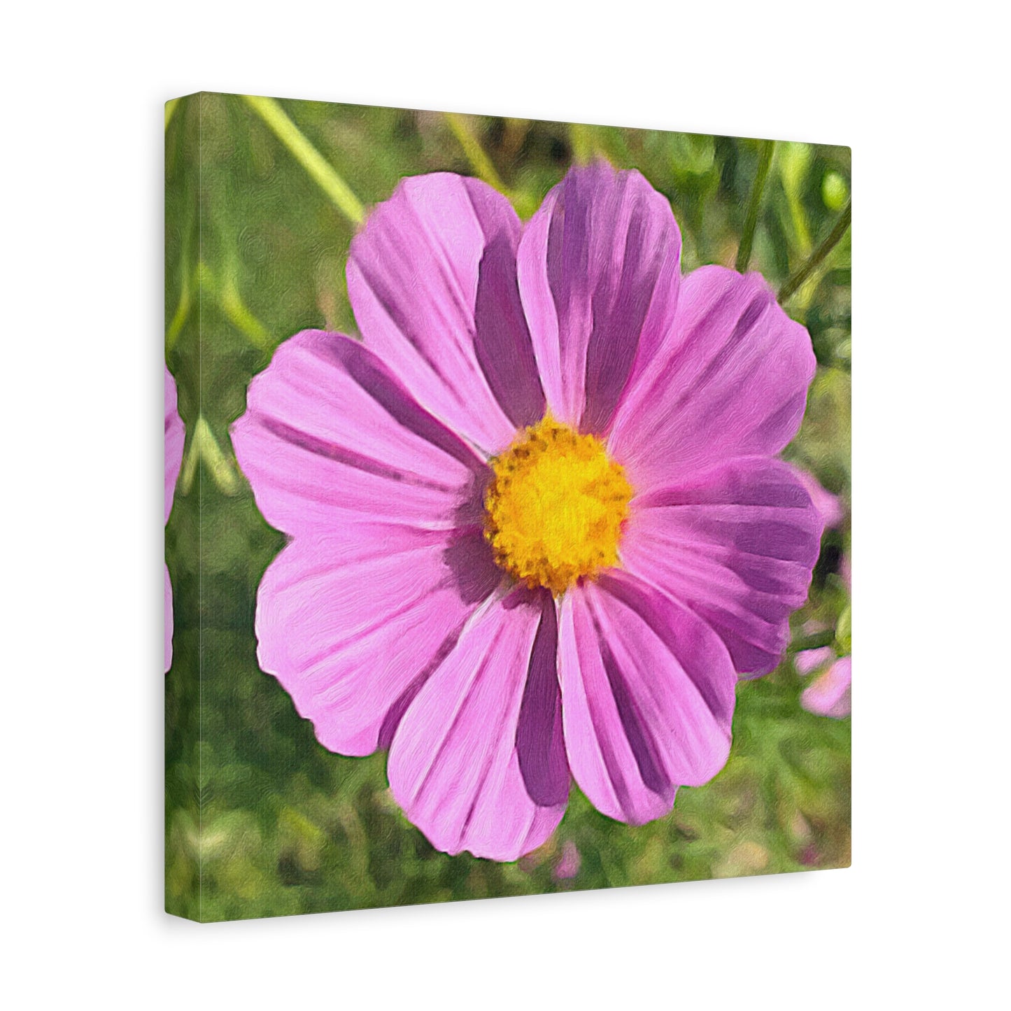 Blooms by the Back Porch Series