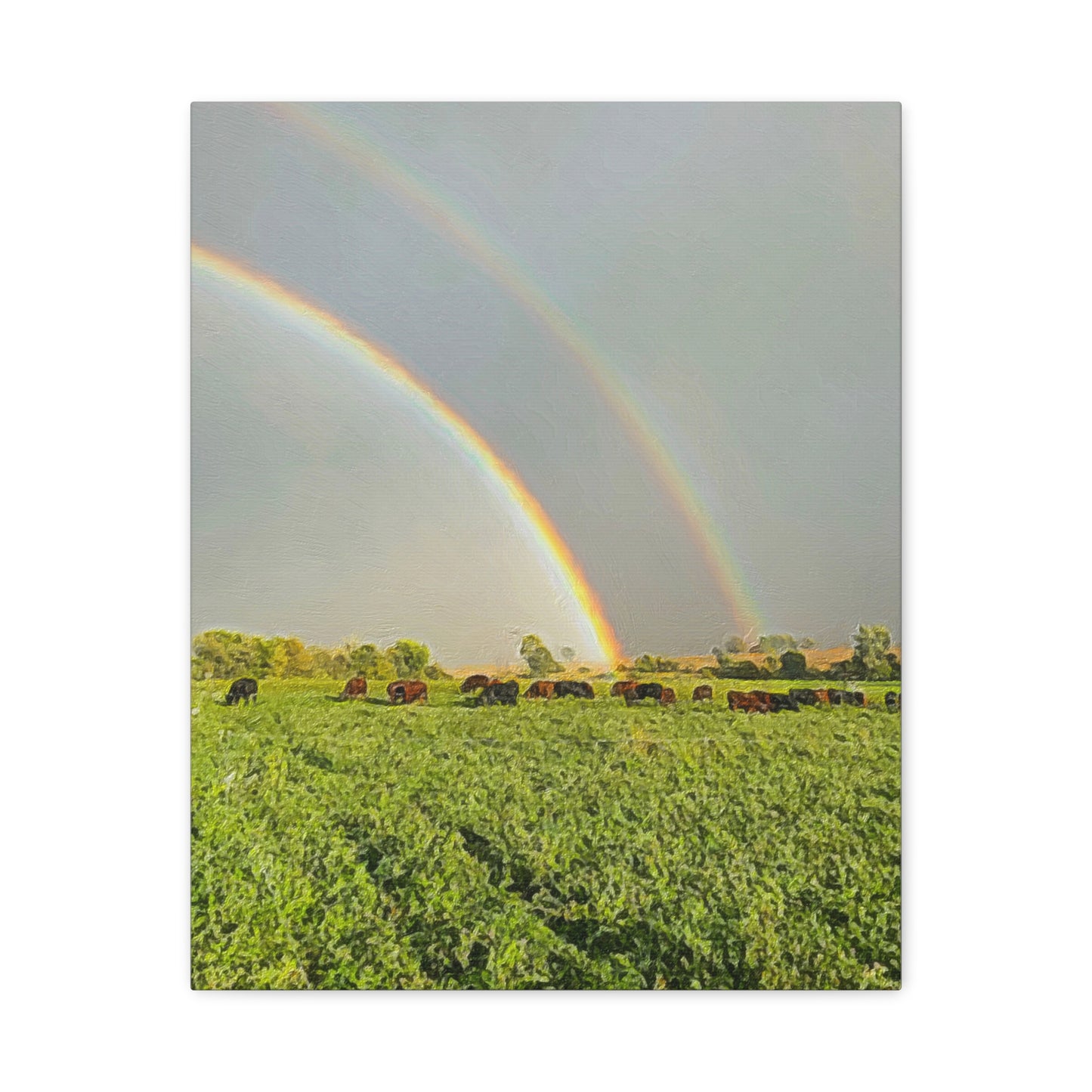 Down on the Farm Series