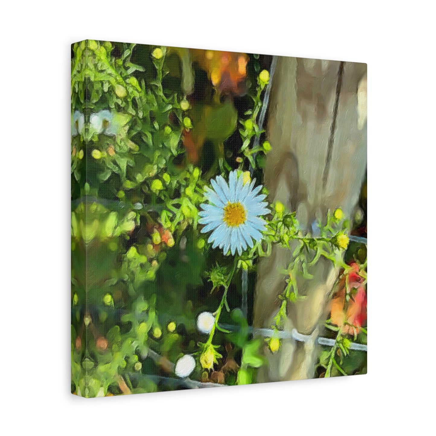 Blooms by the Back Porch Series