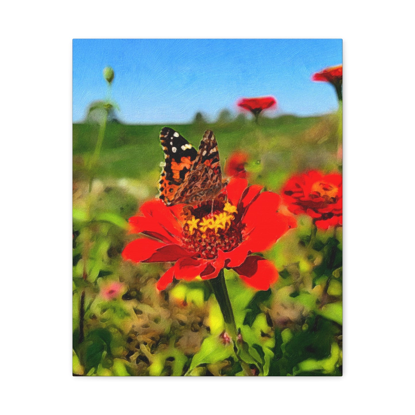 Blooms by the Back Porch Series