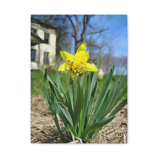 Blooms by the Back Porch Series