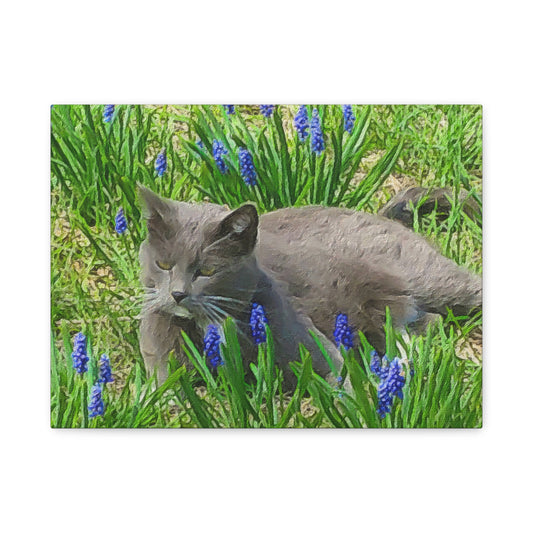 Down on the Farm Series