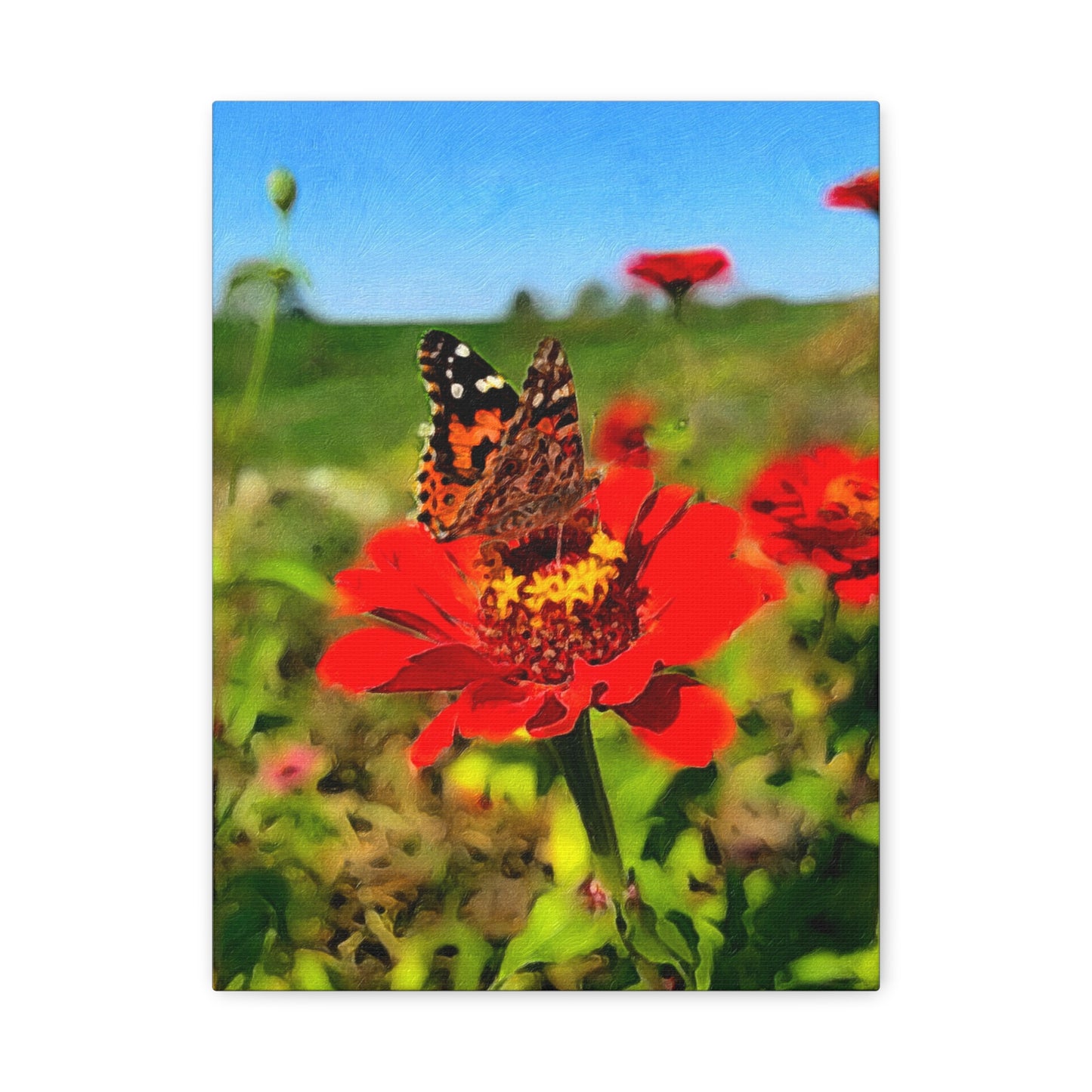 Blooms by the Back Porch Series