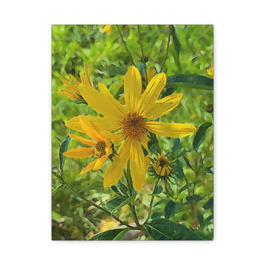 Blooms by the Back Porch Series