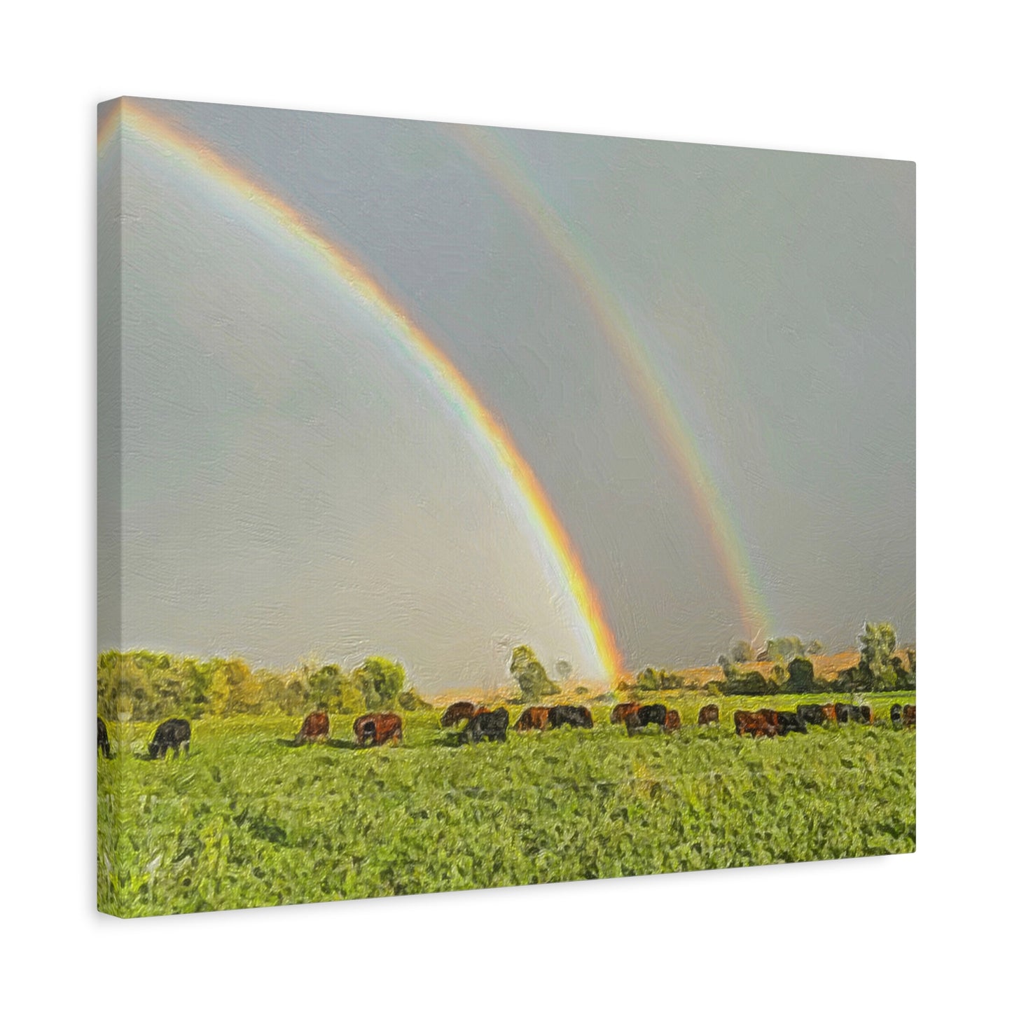 Down on the Farm Series