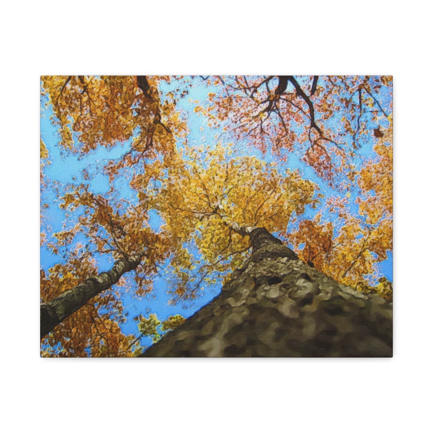 Autumn Series