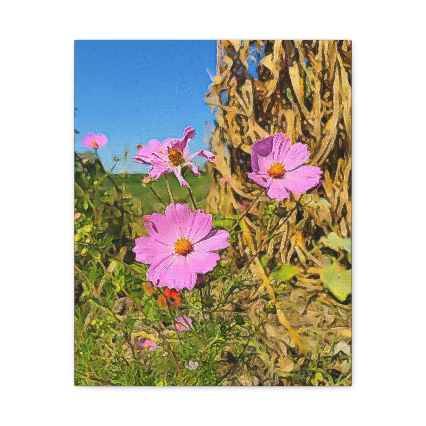 Blooms by the Back Porch Series