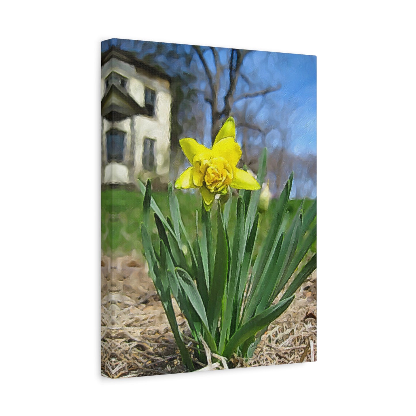 Blooms by the Back Porch Series