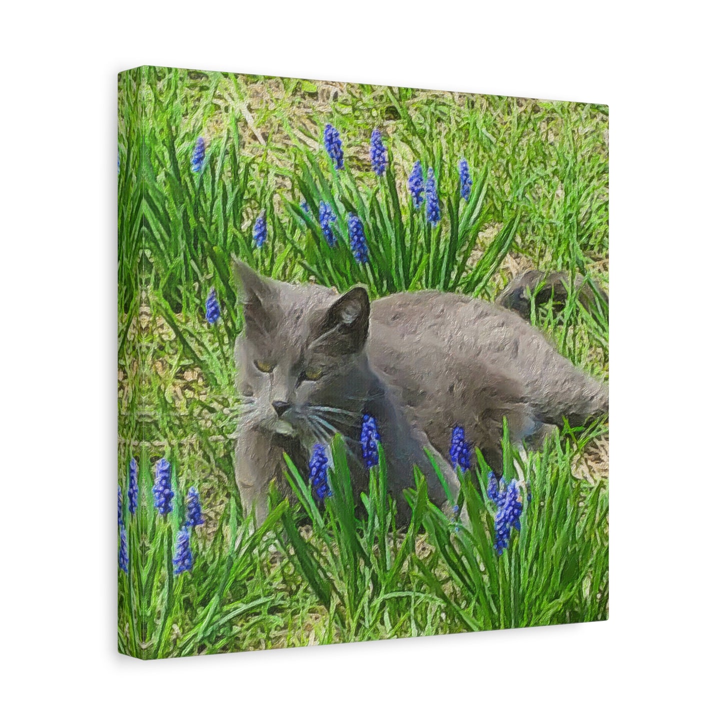 Down on the Farm Series