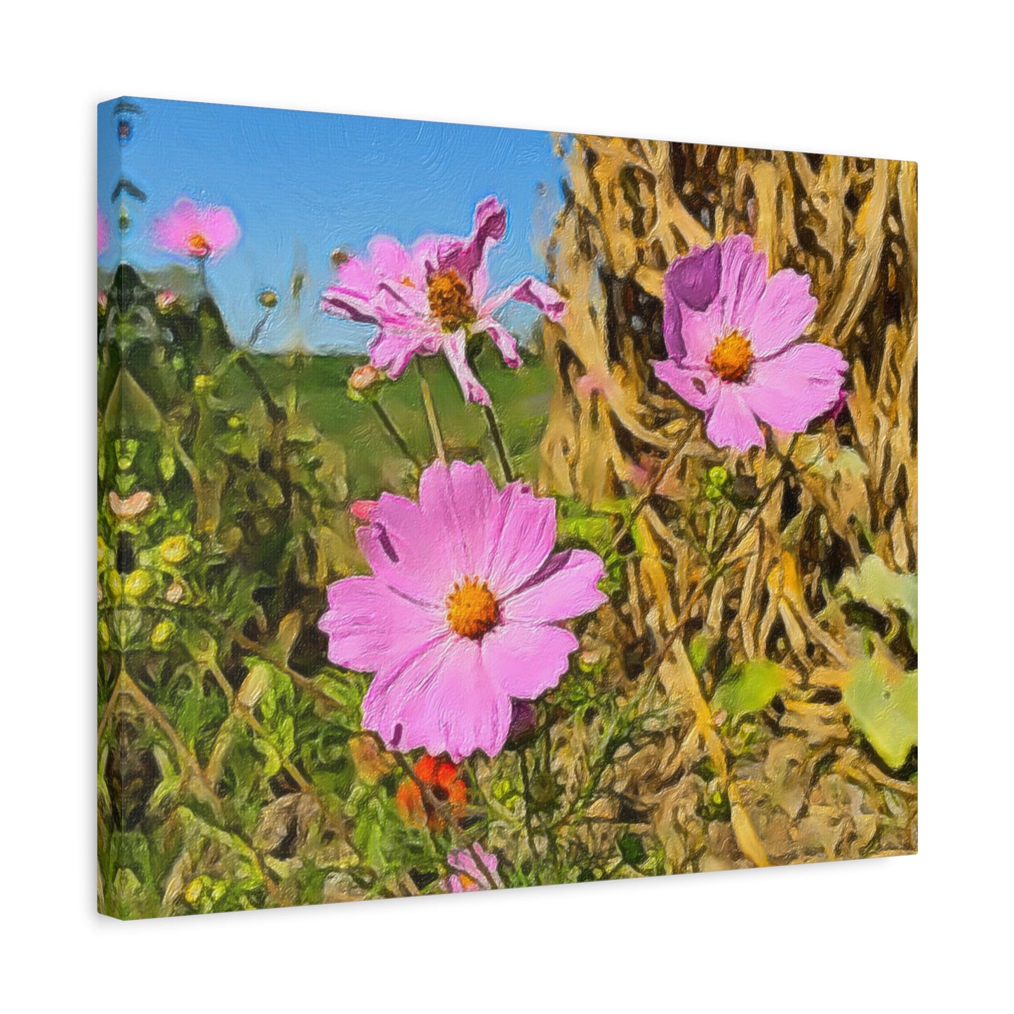 Blooms by the Back Porch Series