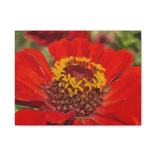 Blooms By the Back Porch Series