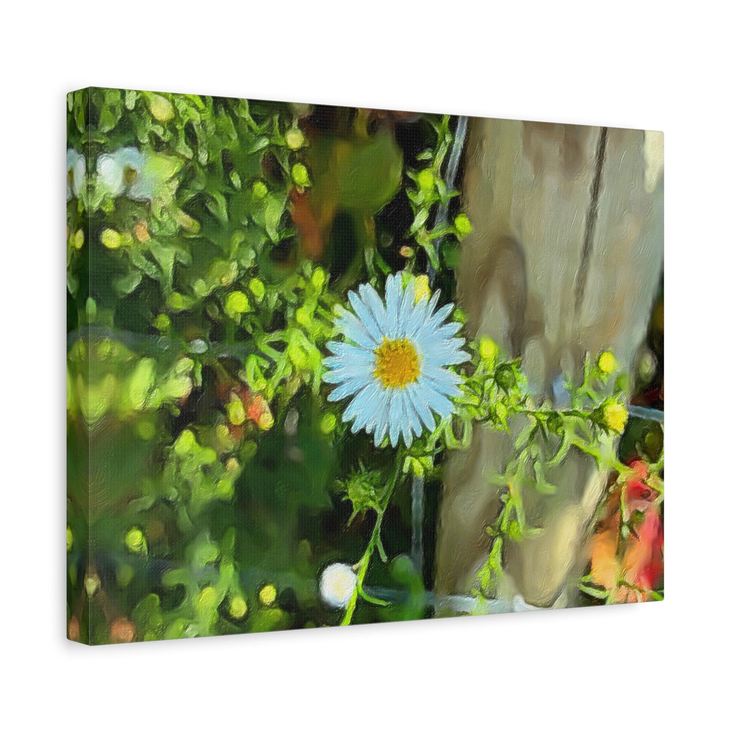 Blooms by the Back Porch Series