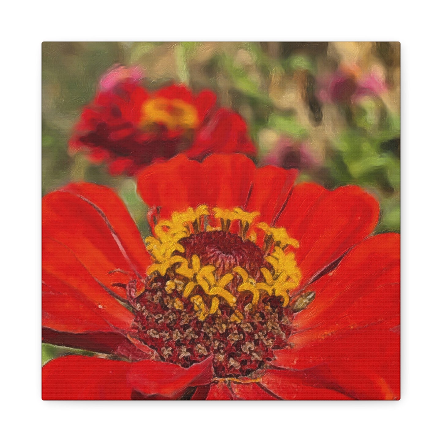 Blooms By the Back Porch Series