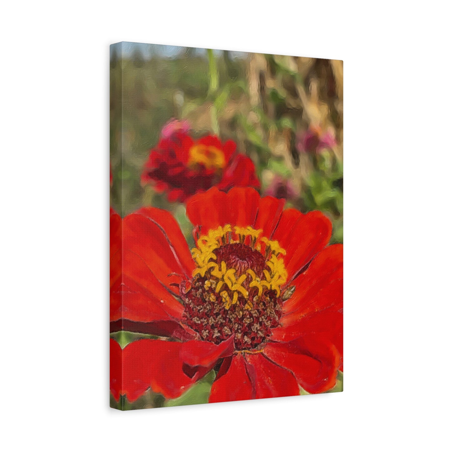 Blooms By the Back Porch Series