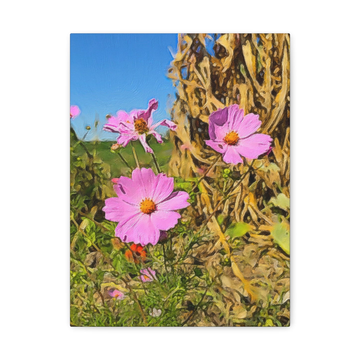 Blooms by the Back Porch Series