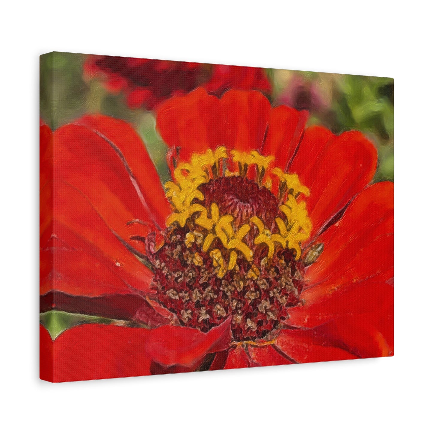 Blooms By the Back Porch Series